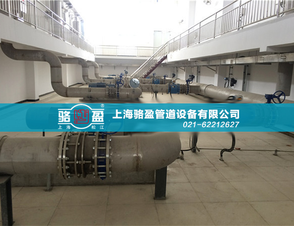 上海駱盈 遼寧丹東市三灣電站項(xiàng)目現(xiàn)場(chǎng)